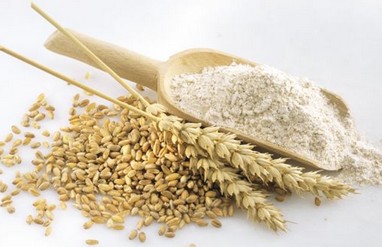 小麦粉 GB 1355-1986